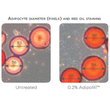 Load image into Gallery viewer, Non-injectable FILLER cream